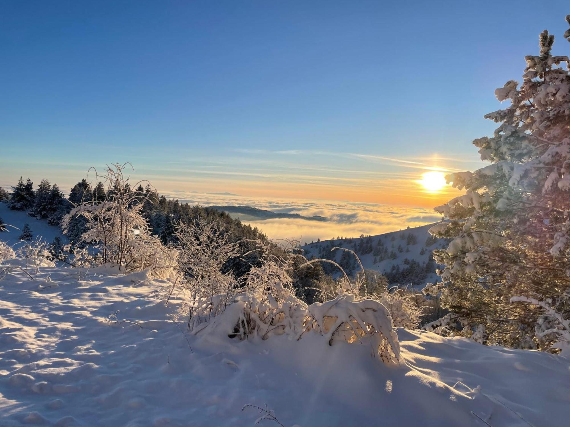 Brvnara Iverak Mokra Gora Buitenkant foto